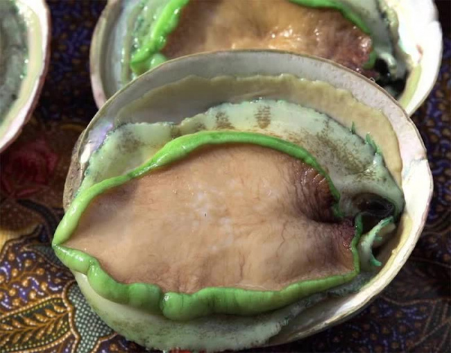 abalone, rare, seafood, specialty, nutritious seafood in vietnam is sold for nearly 45 usd/kg