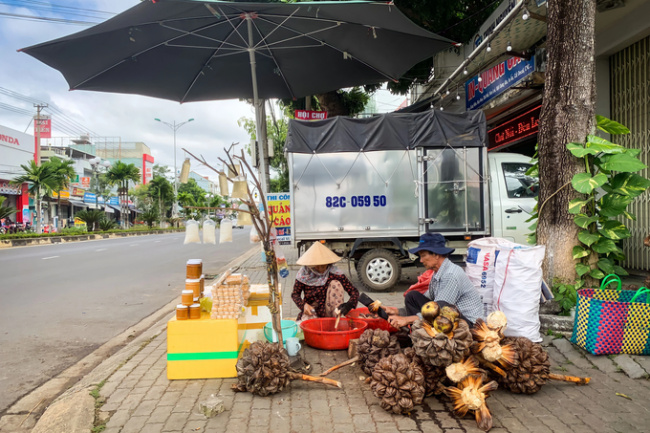 couple, kon tum, roamed, western coconut dream, western couple selling strange coconut dishes, attracting customers