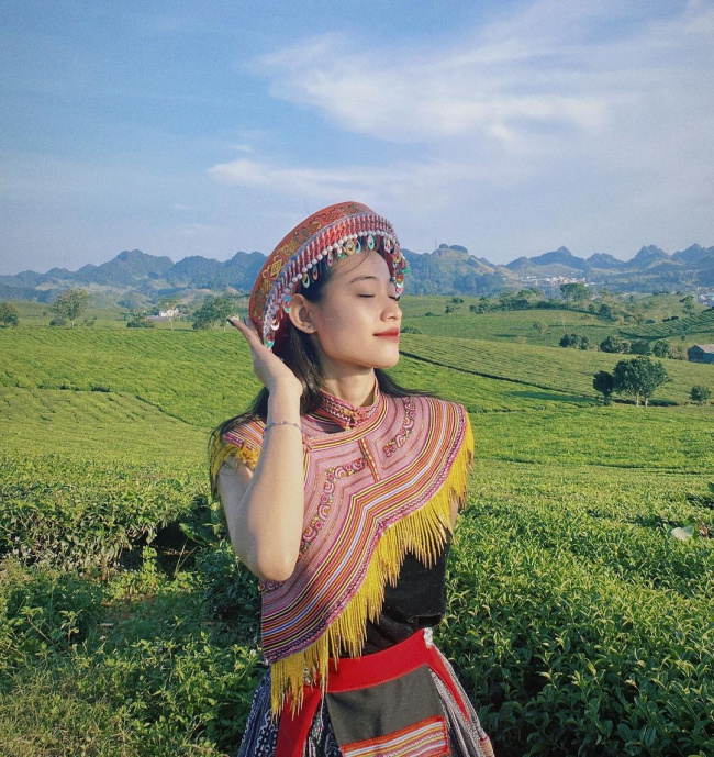 busy people, moc chau plateau, office people, travel, 2 days 1-night schedule to see canola flowers and explore moc chau green steppe for busy people