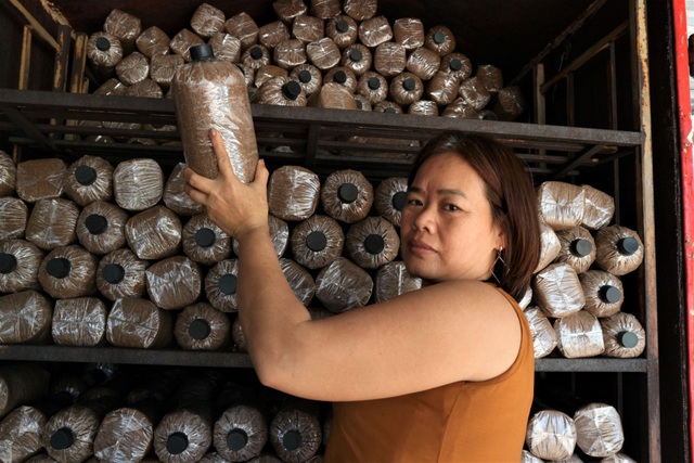 binh tu commune, thang binh, truong an village, the woman rose out of poverty thanks to the mushroom farming model