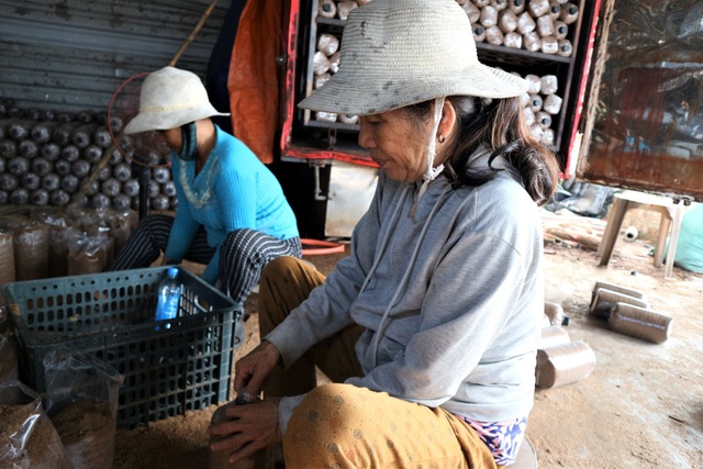 binh tu commune, thang binh, truong an village, the woman rose out of poverty thanks to the mushroom farming model