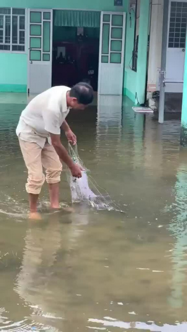 Thả lưới bắt cá trong sân nhà