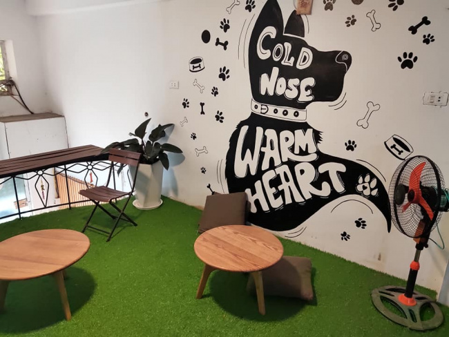 hanoi pet cafe, pet cafe hanoi, list of 8 pet cafes, super cute hanoi cat and dog cafe