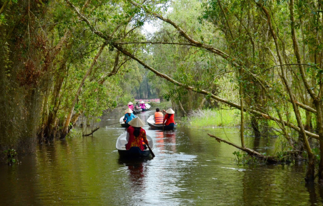 foreign tourists, primeval forest, vietnam tourism, the roads are considered by tourists to be the most beautiful in vietnam