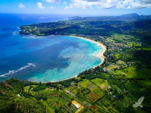 top 7 điều thú vị về quần đảo hawaii