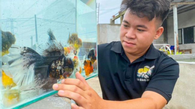 fish's food, goldfish, release goldfish, starting a business, with a capital of 16 usd, a 20-year-old man earns thousands of dollars a month