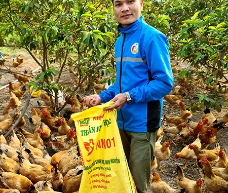 career youth, get rich from farming, nguyen van nhi, start-up chicken farming, starting a business, style of life, the farmer was twice ‘broken by heaven’
