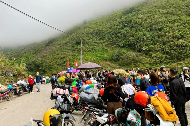 flower fields, ha giang, ha giang province, ha giang tourism, international visitors, places to visit, tours, tourists flock to ha giang, traffic jams, dong van night market