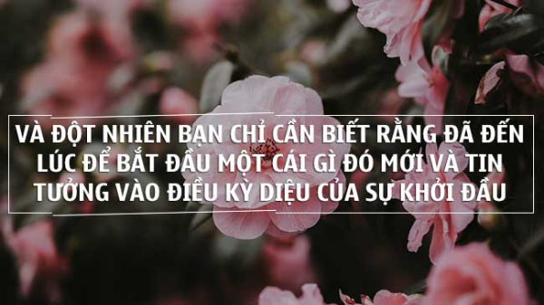 những câu nói tạo động lực, truyền cảm hứng cho giới trẻ hay