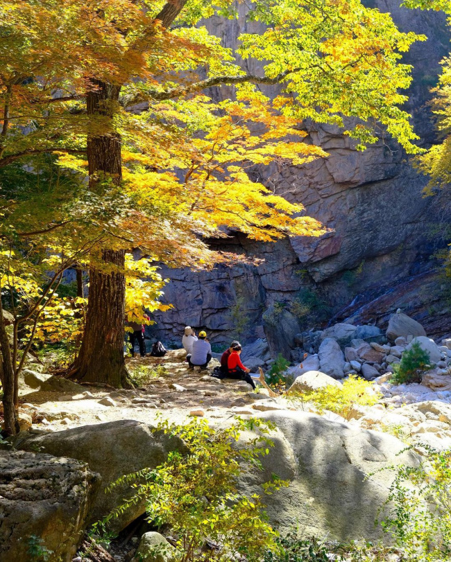 6 địa điểm tận hưởng mùa thu, ngắm lá vàng rơi lãng mạn ở hàn quốc
