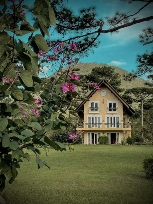 top 10 villa hồ tuyền lâm giá rẻ, đẹp có view sống ảo cực chill