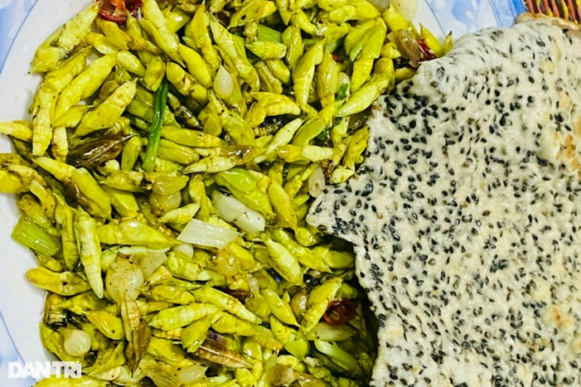 dak lak, delicious foods, nutritious, pupa, strange and unique specialty in the central highlands, customers dare to try it with their eyes closed