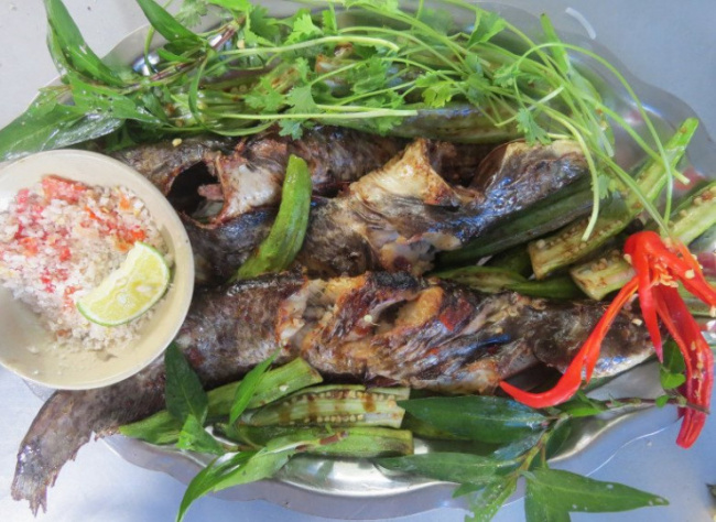 an giang, siluridae fish, the type of fish that used people no one eats, now it is a specialty that many people love because it is delicious and nutritious, $17/kg