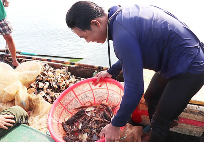 ben nom 2 hamlet, dinh quan district, dong nai, phu cuong commune, tri an lake, use seashells to chase the specialty fish of tri an lake bed