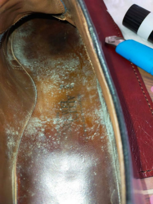 Hướng dẫn ngăn ngừa và loại bỏ nấm mốc ở giày