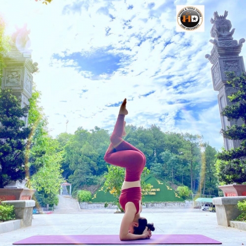 Top 10 Trung tâm dạy yoga uy tín nhất tại TP. Vinh, Nghệ An