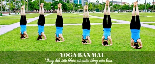 top 10 trung tâm dạy yoga uy tín nhất tại tp. vinh, nghệ an