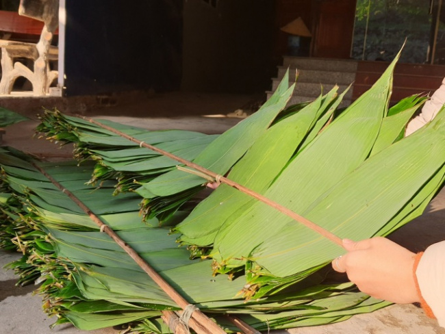 hanoi, pick leaves to earn money, picking leaves, style of life, picking bamboo leaves to collect millions every day