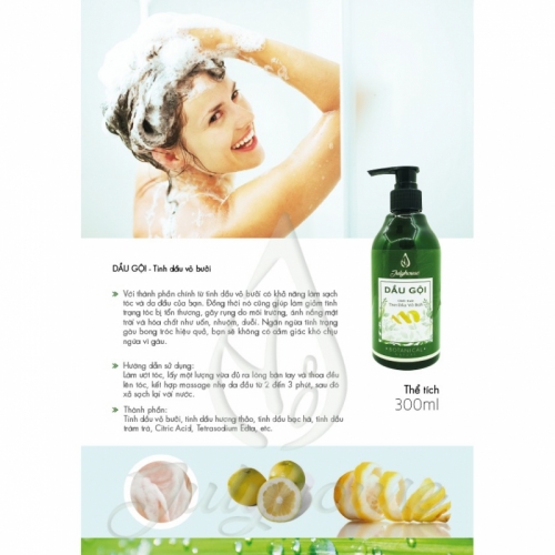 top 11 loại dầu gội hỗ trợ trị viêm da tiết bã nhờn và nấm da đầu