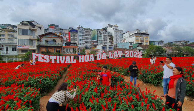 da lat, dalat flower festival, flower festival, lam dong, da lat is brilliant on the occasion of the flower festival