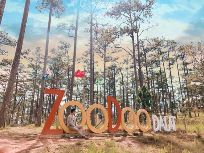 vườn thú zoodoo – sở thú thân thiện, độc đáo giữa lòng đà lạt