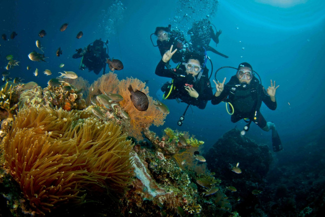 top 08 cung lặn biển đẹp nhất malaysia
