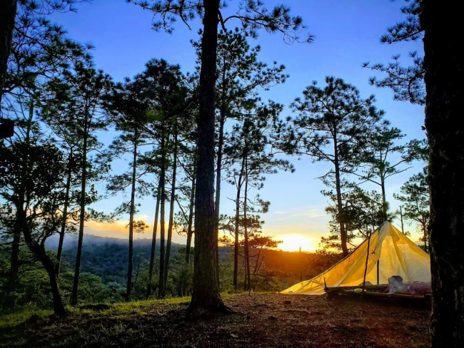 campsite in the wild – cắm trại giữa hoang dã