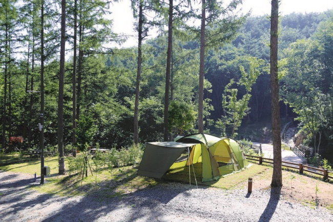 các loại hình cắm trại phổ biến tại hàn quốc