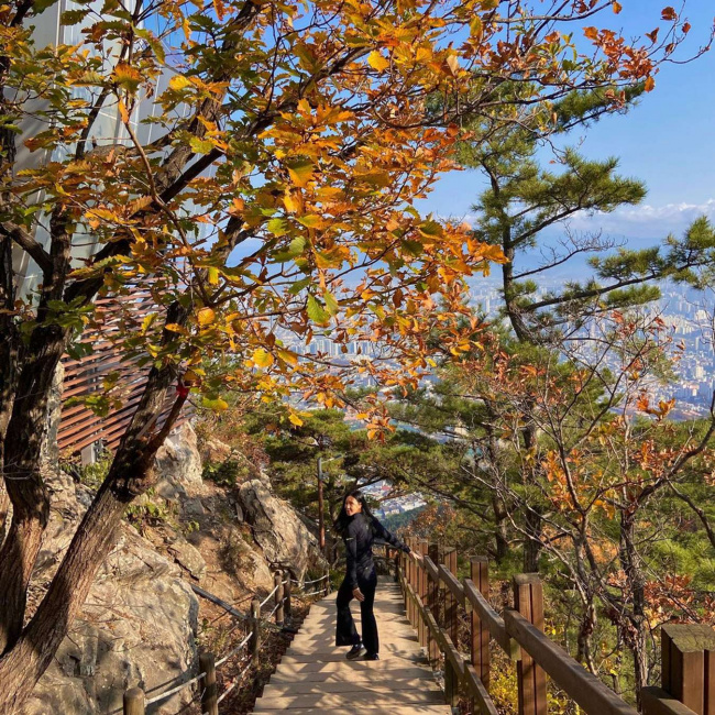 cẩm nang khám phá công viên apsan daegu - khu vườn địa đàng tuyệt đẹp
