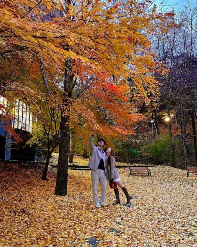 cẩm nang khám phá công viên apsan daegu - khu vườn địa đàng tuyệt đẹp