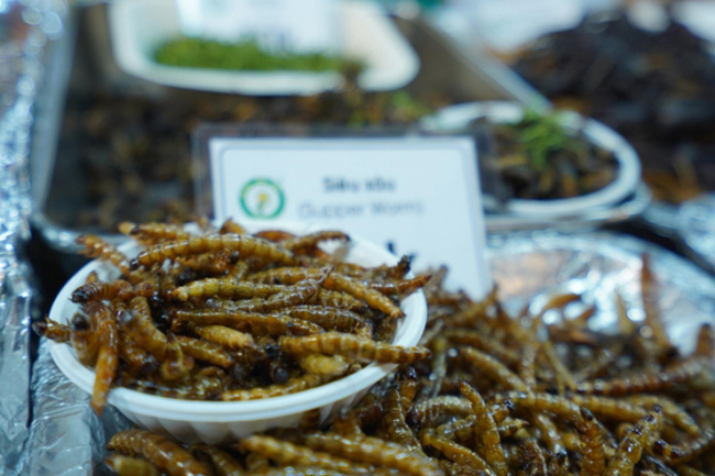 brihaspa atrostigmella, caterpillars, dien bien, son la, the gruesome-looking specialty is considered a “panacea in the bedroom”, priced at 6 million/kg for the rich to buy