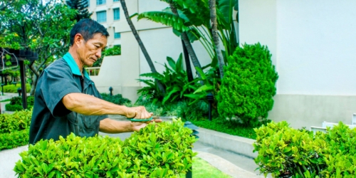 top 5 dịch vụ chăm sóc cây xanh, cảnh quan chuyên nghiệp nhất đà nẵng