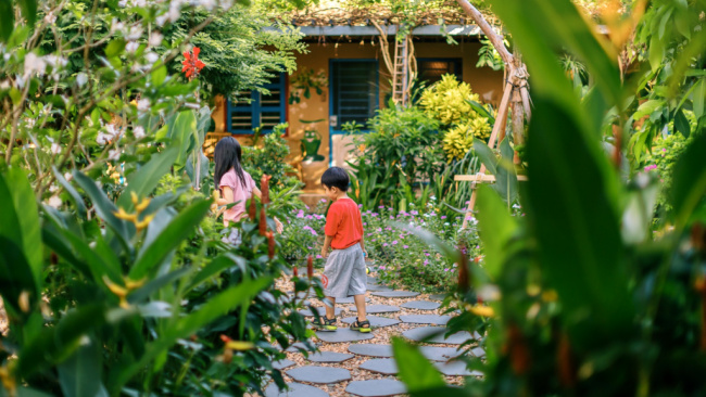 trại hoa vàng homestay phú yên mang nét yên bình “hoa vàng, cỏ xanh”