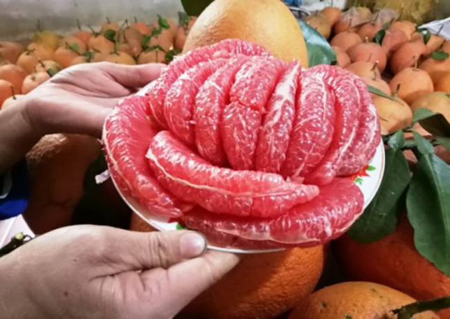 luan van pomelo, thanh hoa, tho xuan district, the specialty fruit ‘tien king’ that was once disgraced, now sells for up to 1 million dong/fruit for tet display