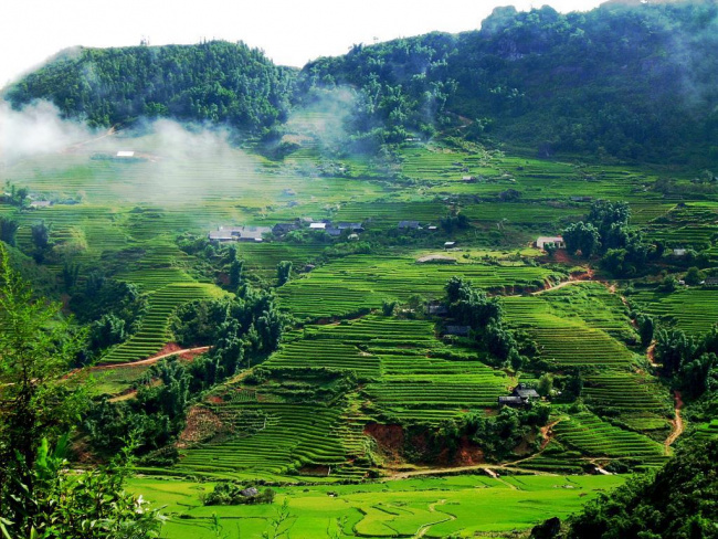 du lịch mộc châu 2 ngày 1 đêm tại cao nguyên xanh yên bình