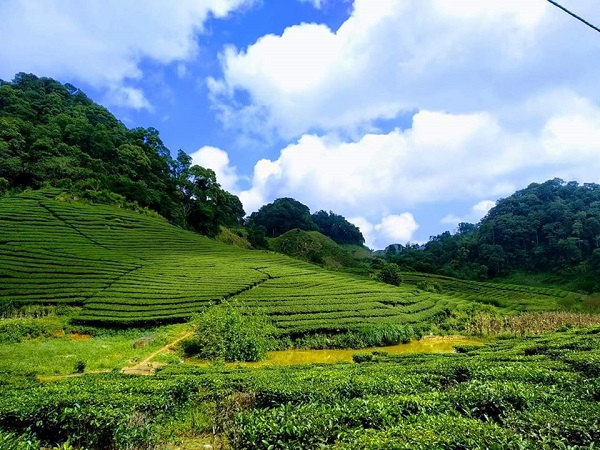 săn mây hang kia pà cò thả hồn vào đồng hoa dại đẹp tựa cổ tích