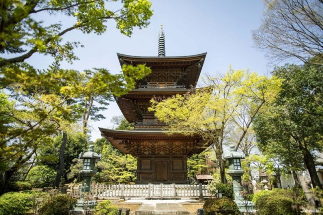 ngôi đền gotokuji – xứ sở của hàng nghìn tượng mèo ở nhật bản