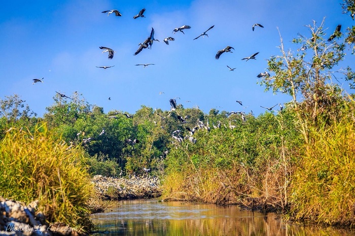 khám phá khu bảo tồn thiên nhiên lung ngọc hoàng – ‘lá phổi xanh’ của miền tây sông nước