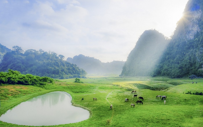 du lịch thảo nguyên đồng lâm – thiên đường xanh đẹp tựa thiên đường của xứ lạng