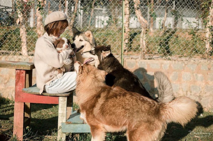 khám phá nông trại cún đà lạt – thiên đường sống ảo siêu dễ thương dành cho du khách