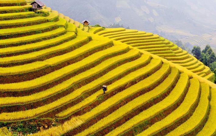 Nằm tại vùng núi đồi nổi tiếng của Việt Nam, Mù Cang Chải là nguồn cảm hứng vô tận cho giới trẻ. Hãy đắm mình trong hình ảnh của những cánh đồng lúa bậc thang đầu tiên của Việt Nam và thưởng thức khung cảnh thiên nhiên tuyệt đẹp.