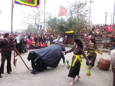 Lễ hội cầu trâu ở Hương Nha