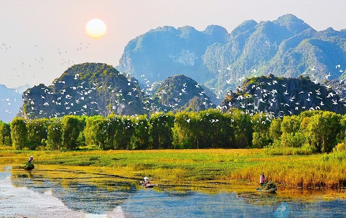 Đắm đuối trước vẻ đẹp hoang sơ và thơ mộng tại đầm Vân Long – Ninh Bình