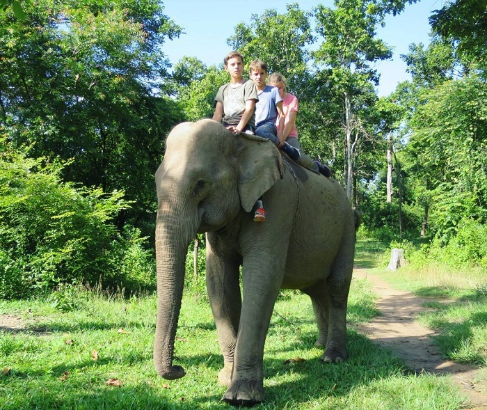 đến vườn quốc gia yok đôn, trải nghiệm cưỡi voi cực kỳ thú vị