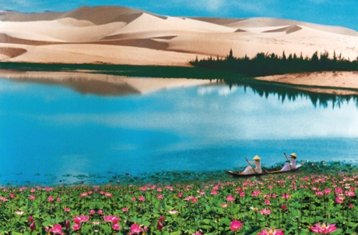 hồ sen đẹp nhất, chiêm ngưỡng mùa sen nở rộ với những hồ sen đẹp nhất việt nam