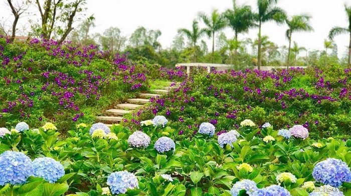 Những lý do khiến công viên hoa hồng Rose park được nhiều người yêu thích nhất tại Hà Nội