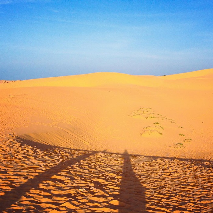 Top 5 đồi cát đẹp nhất miền Trung làm say lòng du khách