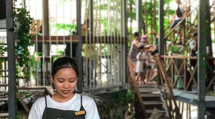 ẩm thực, quán ngon, khám phá “tiệm cà phê giếng trời” rainforest tại nha trang: thiên đường nhiệt đới thu nhỏ