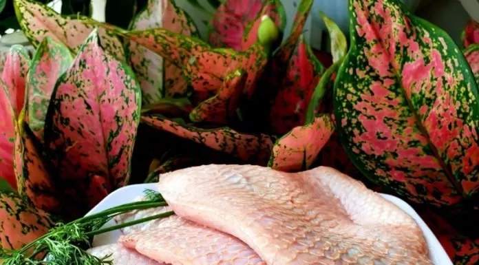 ẩm thực, món ngon, {món ngon cuối tuần}cách nấu bún cá trộn lạ miệng từ cá điêu hồng