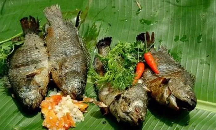 ẩm thực, món ngon, dân dã với món ăn từ cá rô đồng miền tây